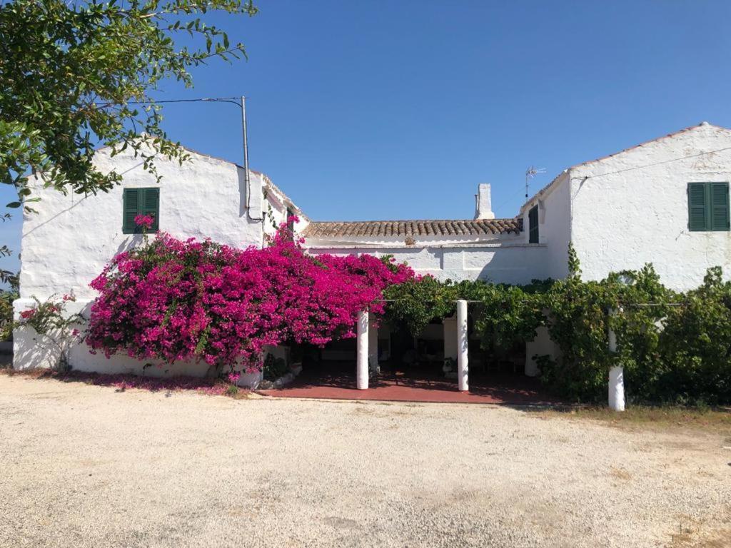 Agroturisme Binisaid Nou Cala Galdana  Exteriér fotografie