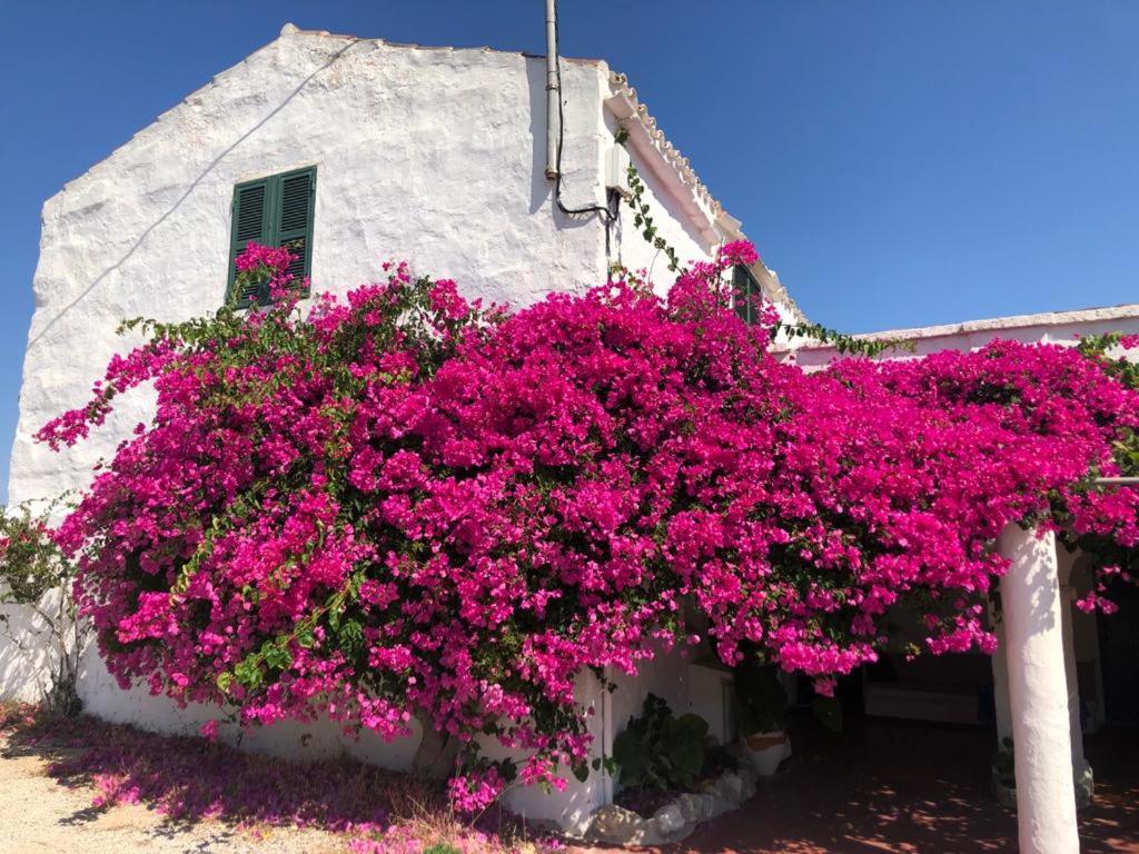 Agroturisme Binisaid Nou Cala Galdana  Exteriér fotografie
